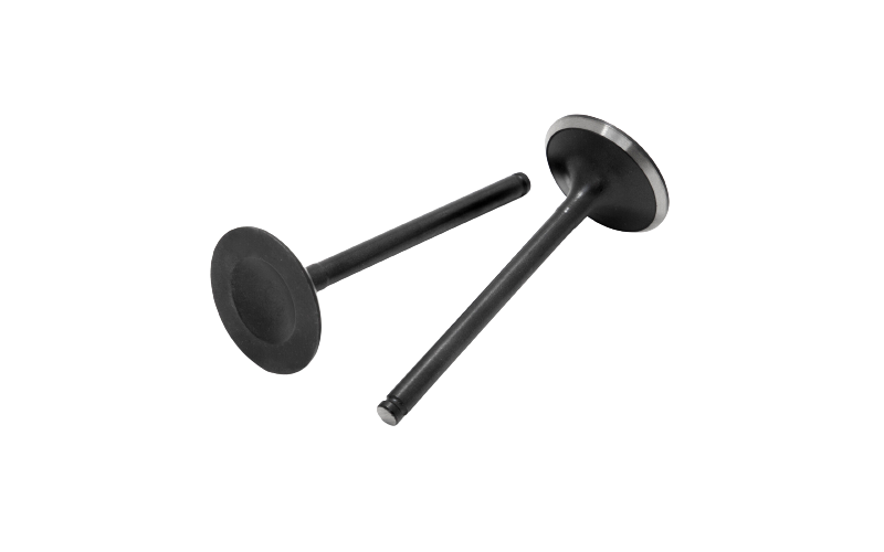 Valve-intake